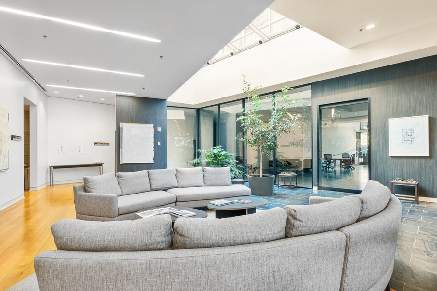 Modern corporate lounge space with natural light and greenery